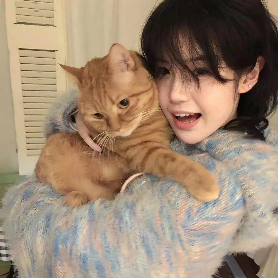 杏苑风流
